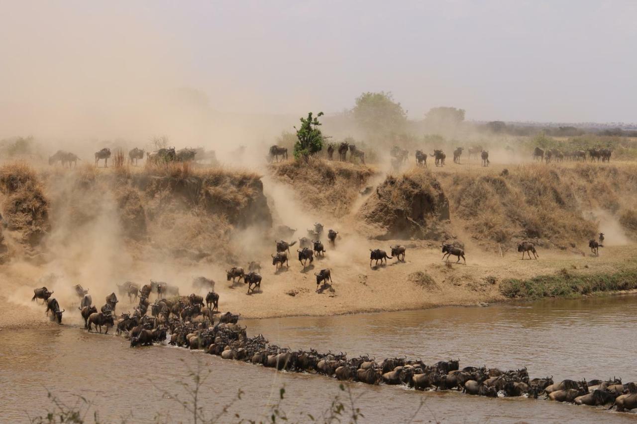 Gnu Mara River Camp เซเรงเกติ ภายนอก รูปภาพ