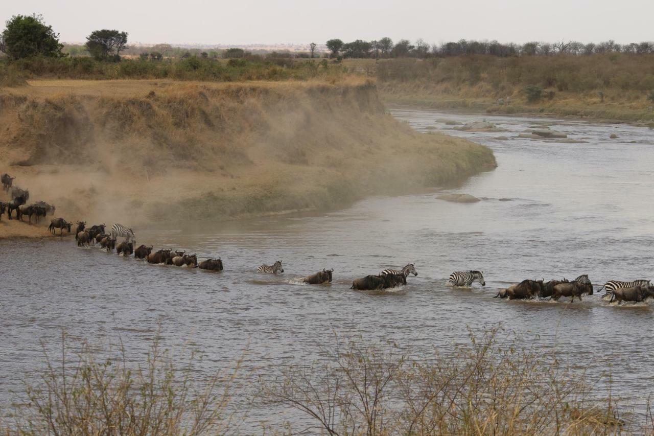 Gnu Mara River Camp เซเรงเกติ ภายนอก รูปภาพ